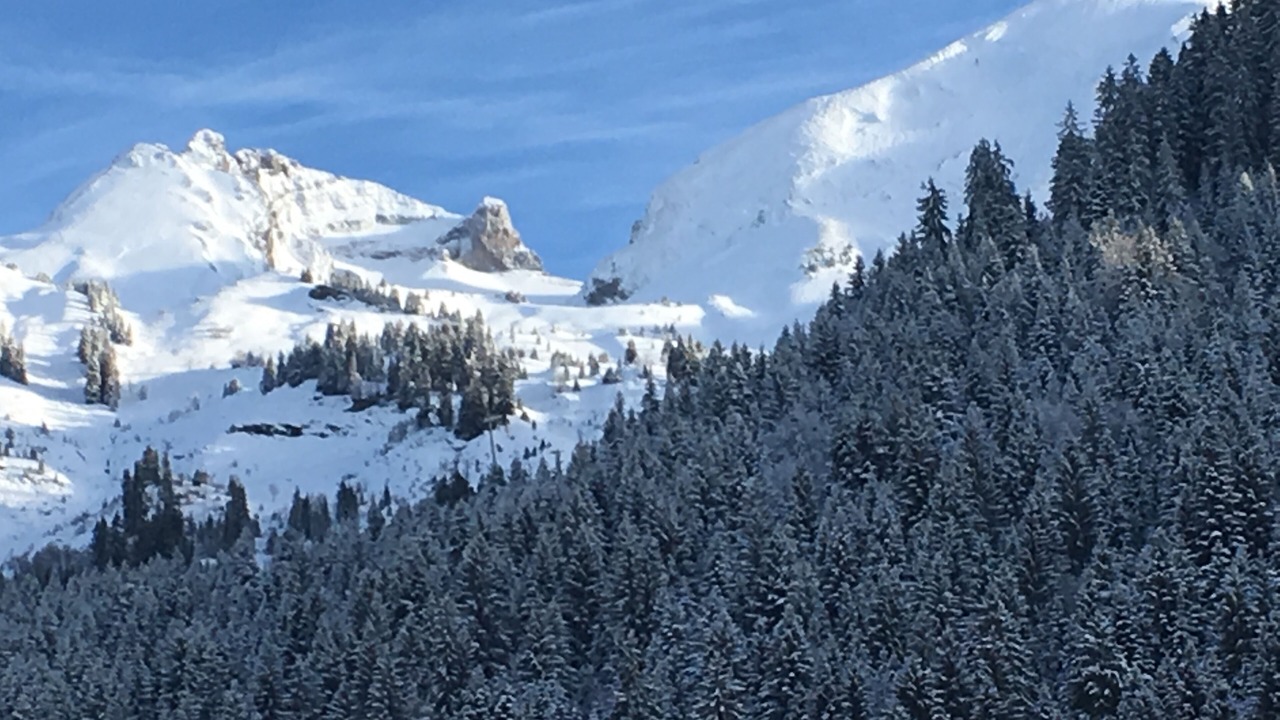 Photo of Others in La Clusaz