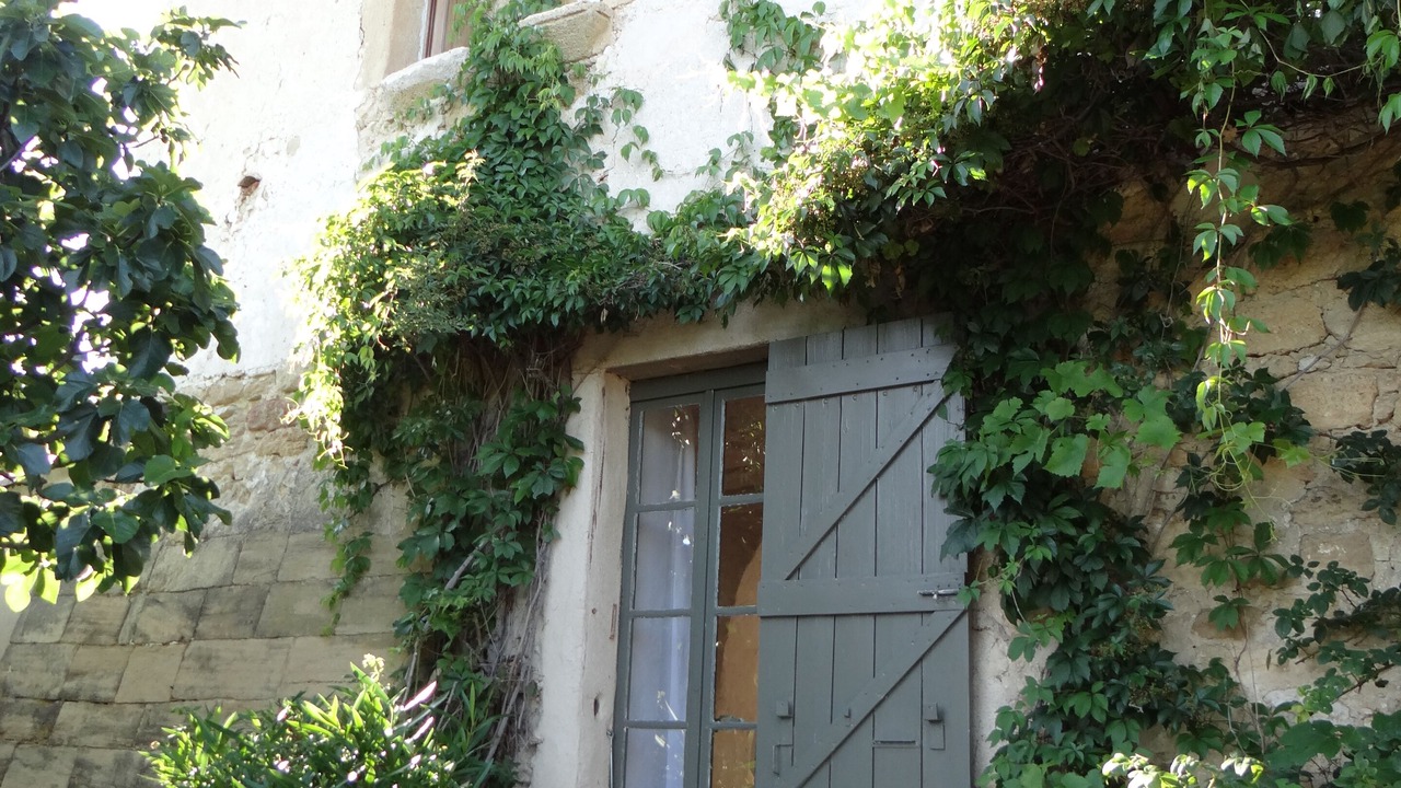 Photo of Outdoor in Puget