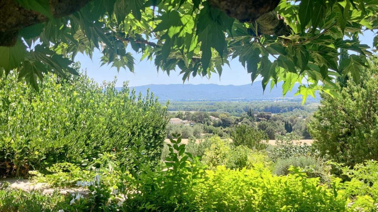 Photo of Outdoor in Puget