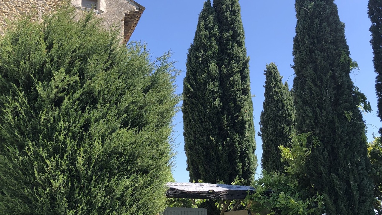 Photo of Outdoor in Puget
