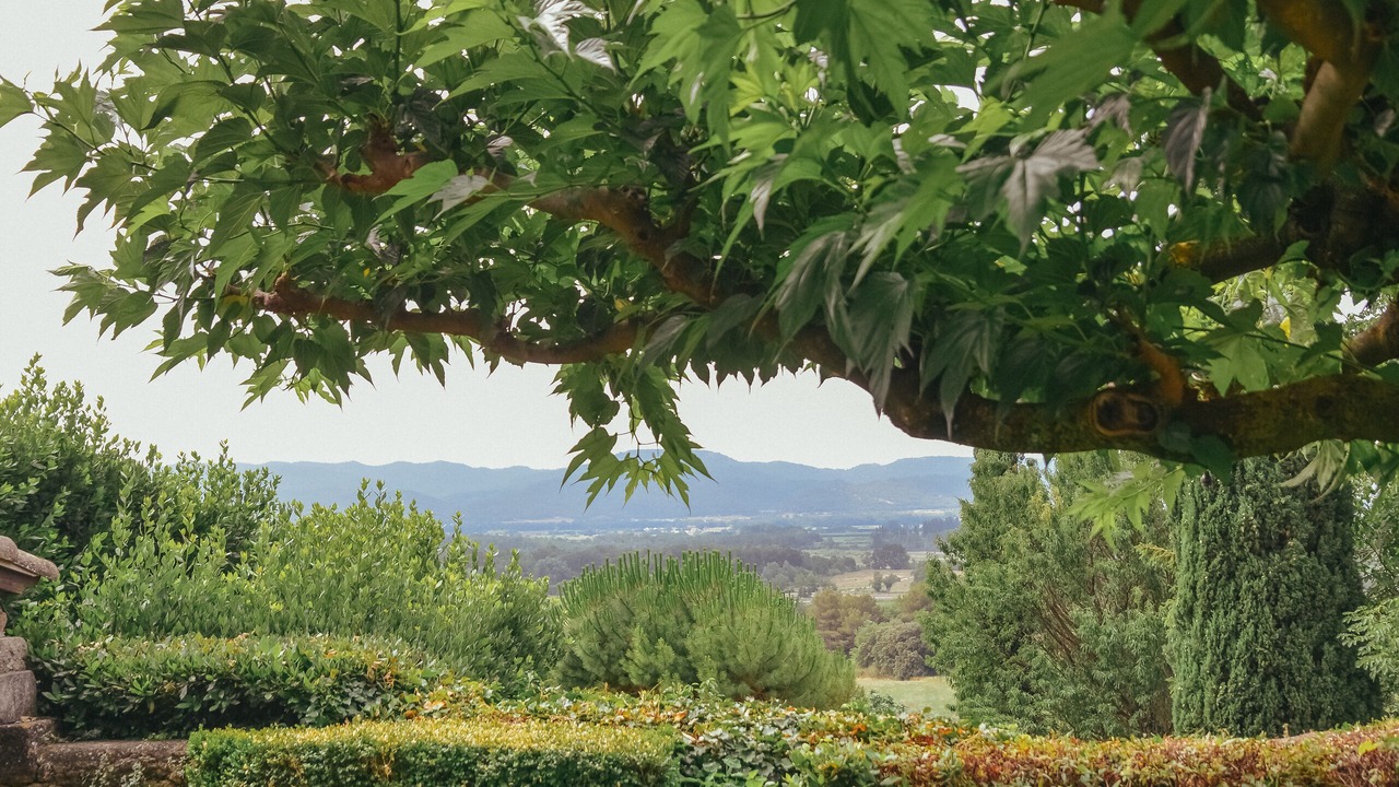 Photo of Outdoor in Puget