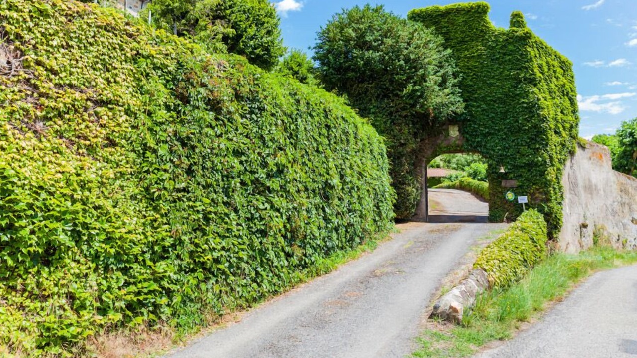 Photo of Outdoor in Lurcieux