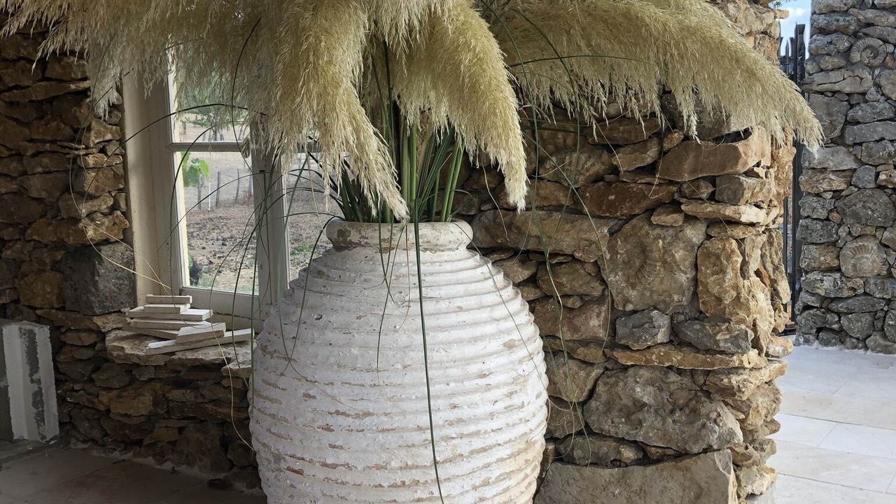 Photo of Outdoor in Saint-Ythaire