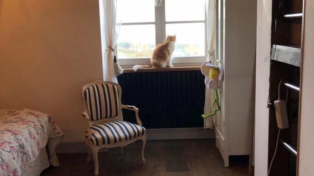 Photo of Bedroom in Saint-Ythaire