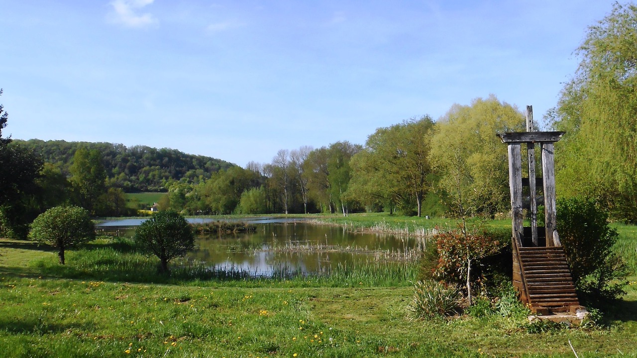 Photo of Outdoor in Thury
