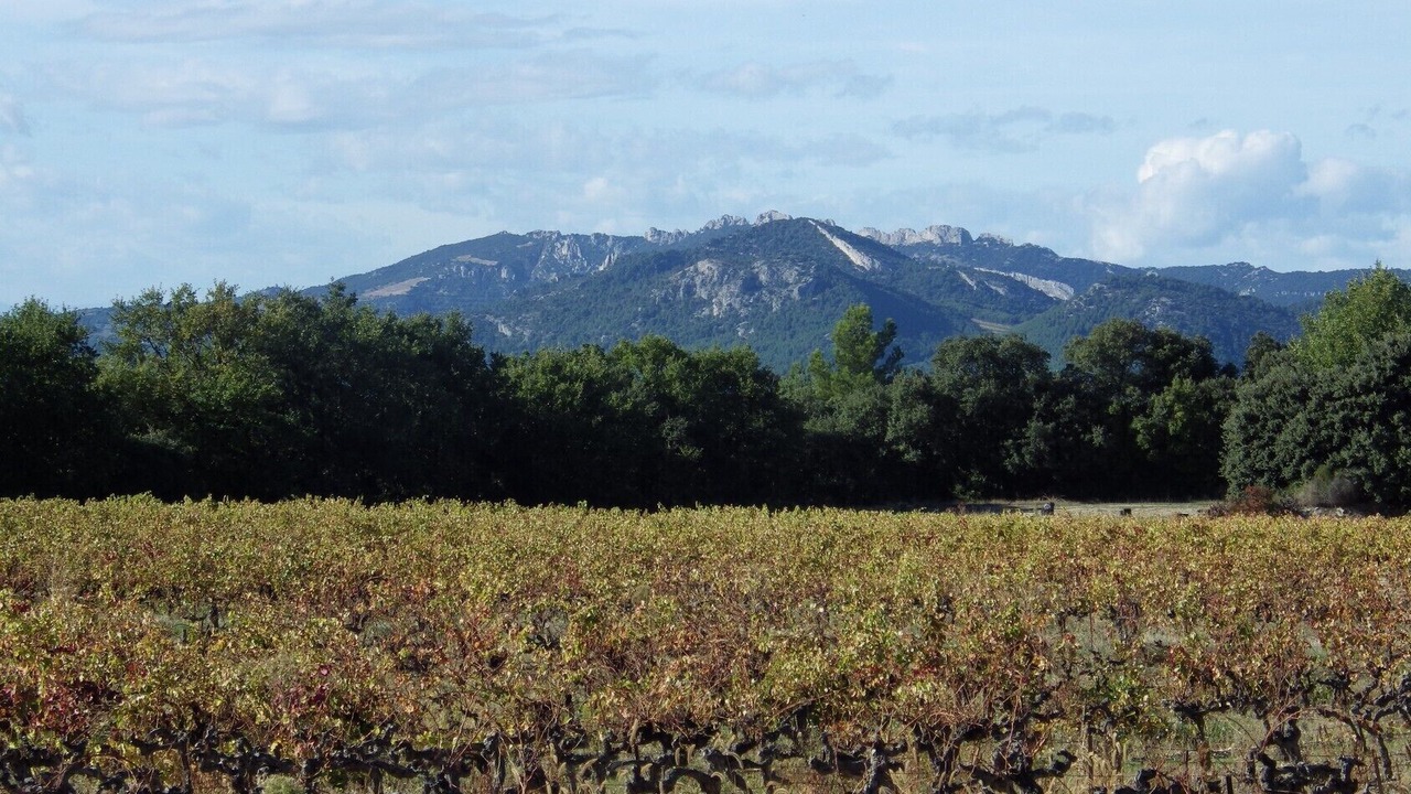 Photo of Outdoor in Saint-Pierre-de-Vassols