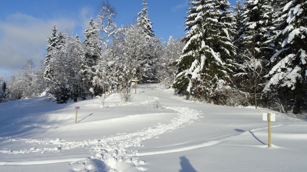 Photo of Others in Paroisse des Monts de Bienne