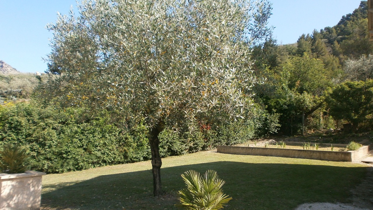 Photo of Outdoor in Buis-les-Baronnies