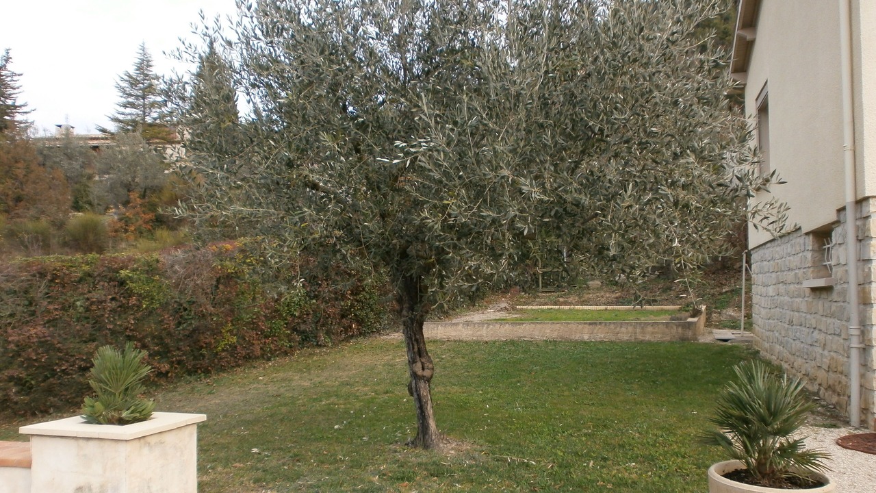 Photo of Outdoor in Buis-les-Baronnies