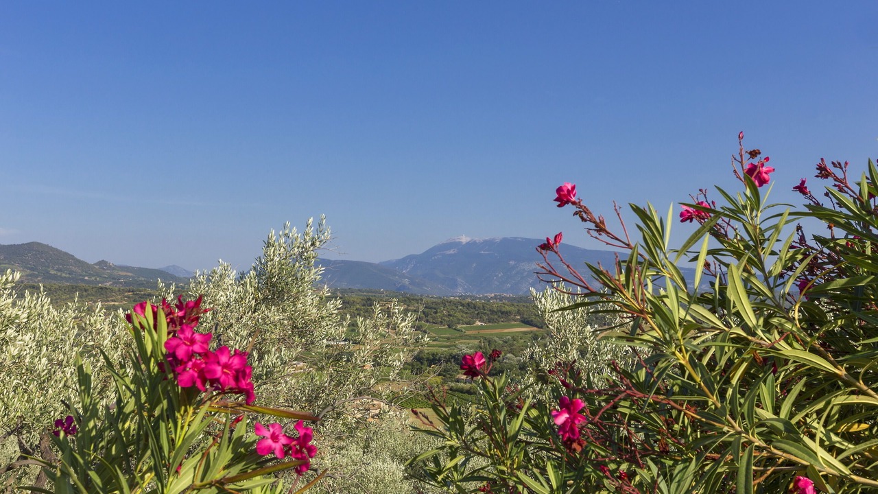 Photo of Outdoor in Mirabel-aux-Baronnies
