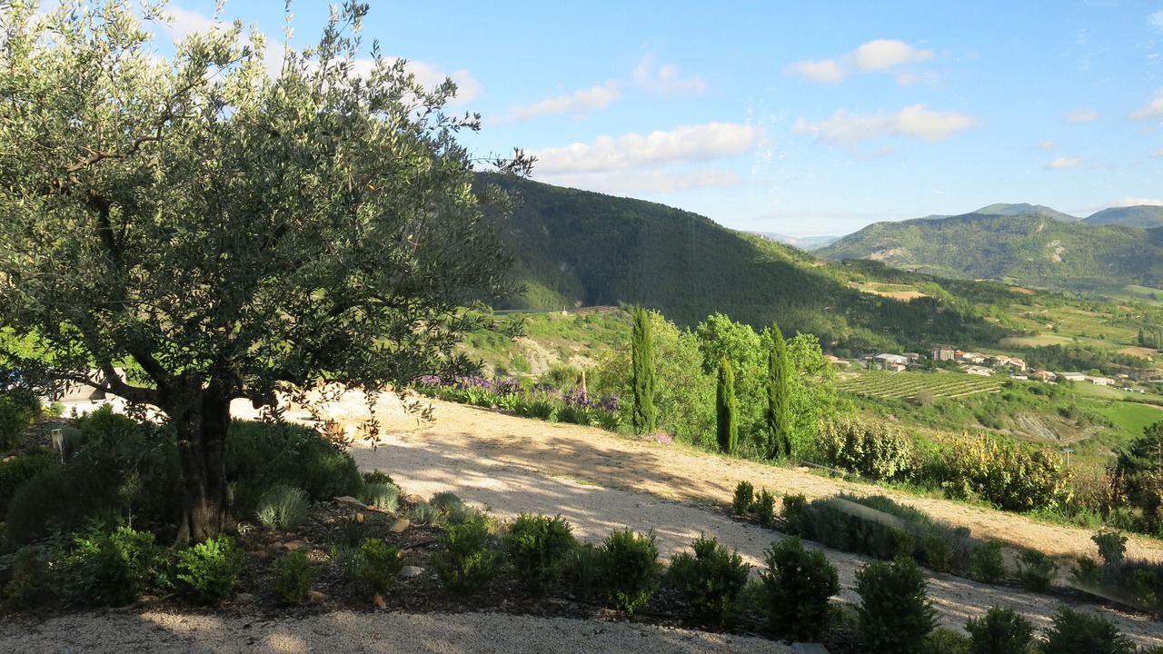 Photo of Outdoor in Bellecombe-Tarendol