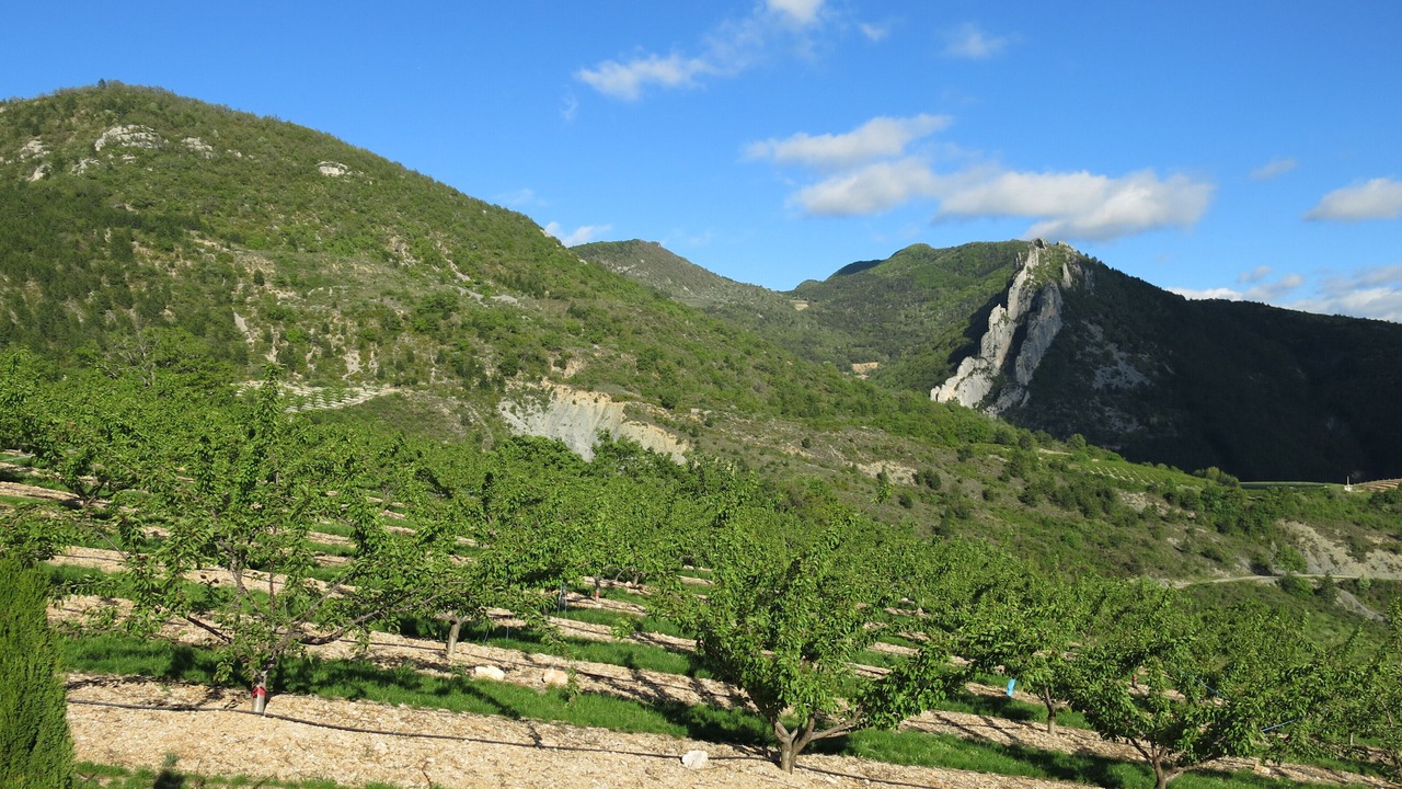Photo of Outdoor in Bellecombe-Tarendol