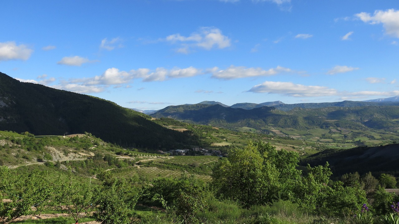 Photo of Others in Bellecombe-Tarendol