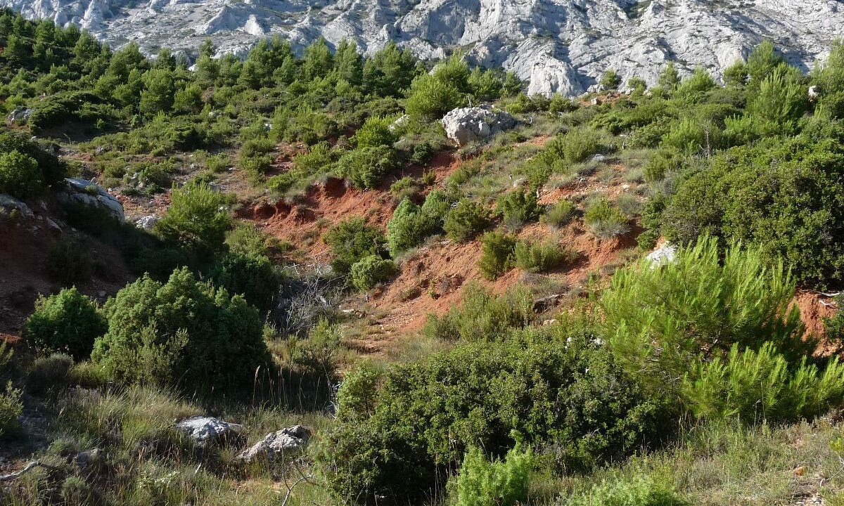 Photo of Others in Mazan