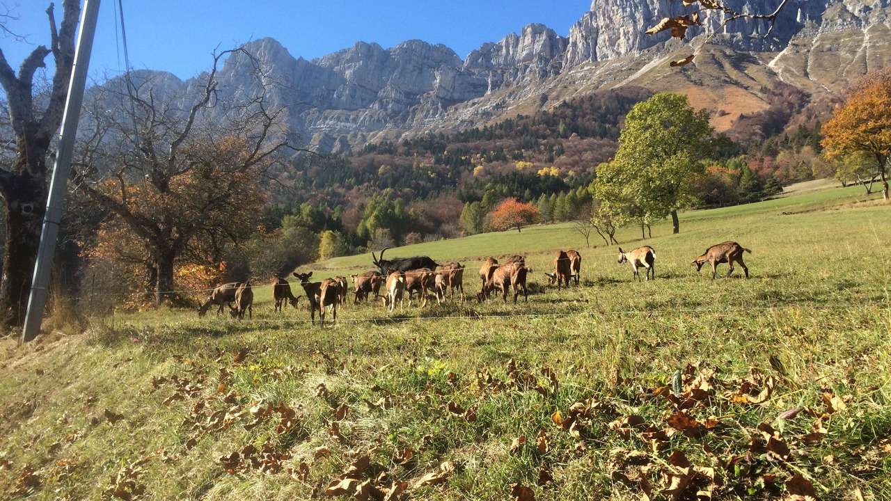 Photo of Outdoor in Saint-Andeol