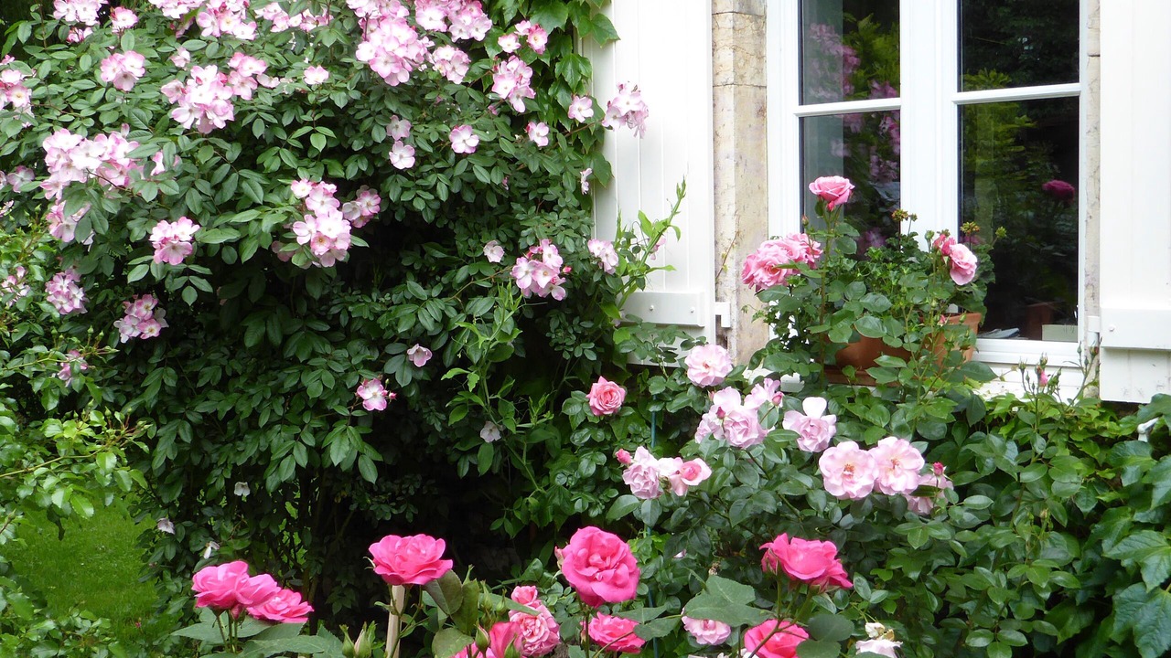 Photo of Outdoor in Pontoux