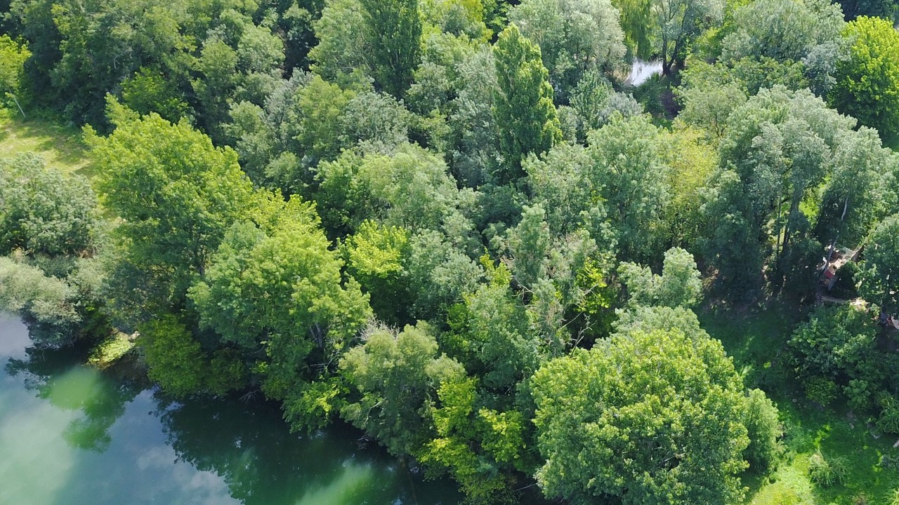 Photo of Outdoor in Pontoux