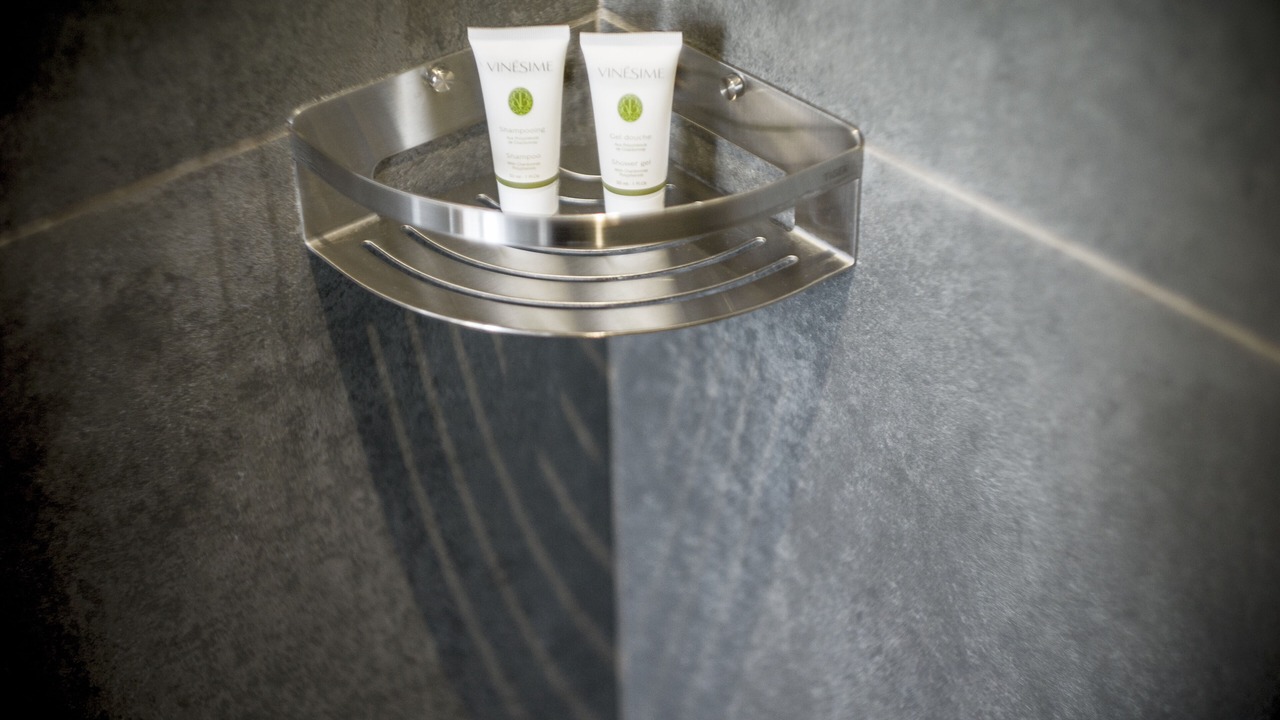 Photo of Bathroom in Beaune City Centre
