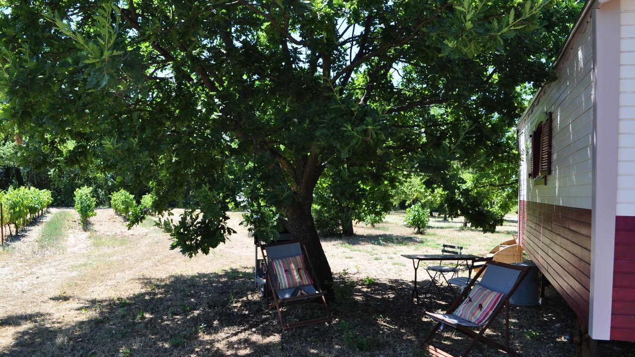 Photo of Outdoor in Mazan