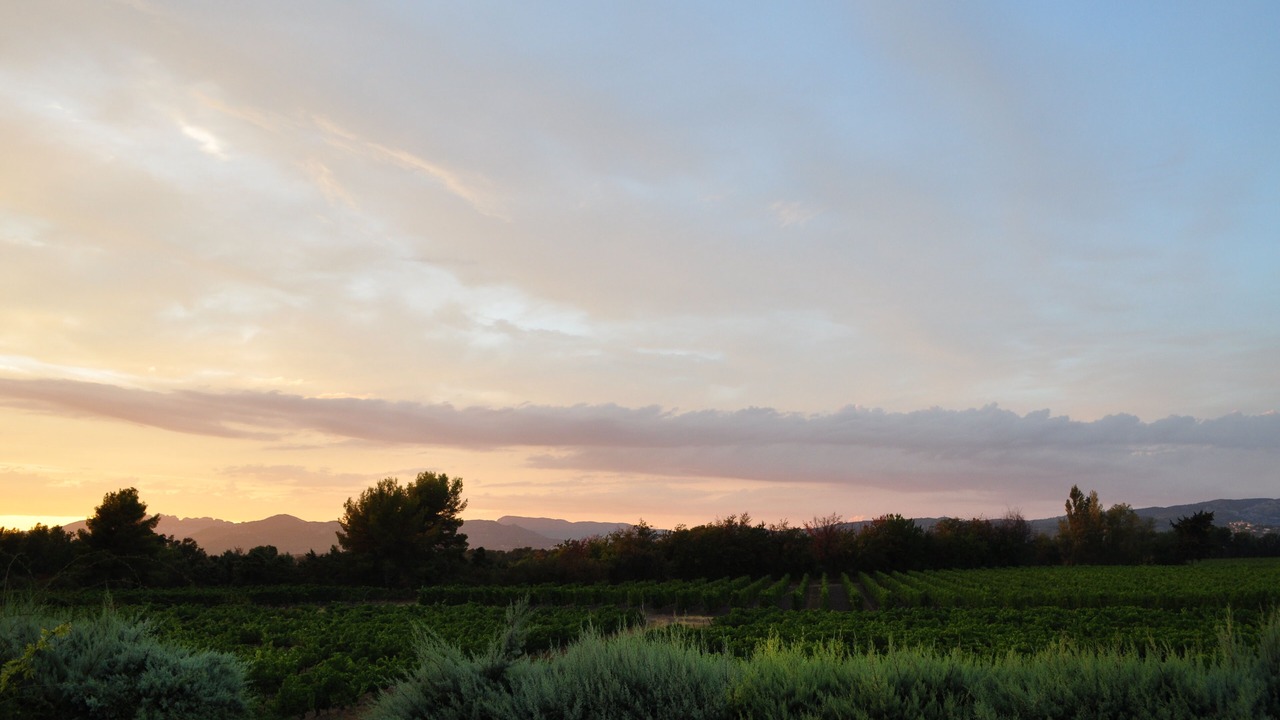 Photo of Outdoor in Mazan