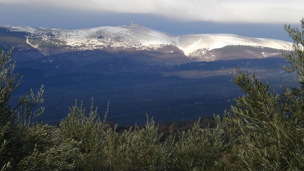Photo of Outdoor in Mazan