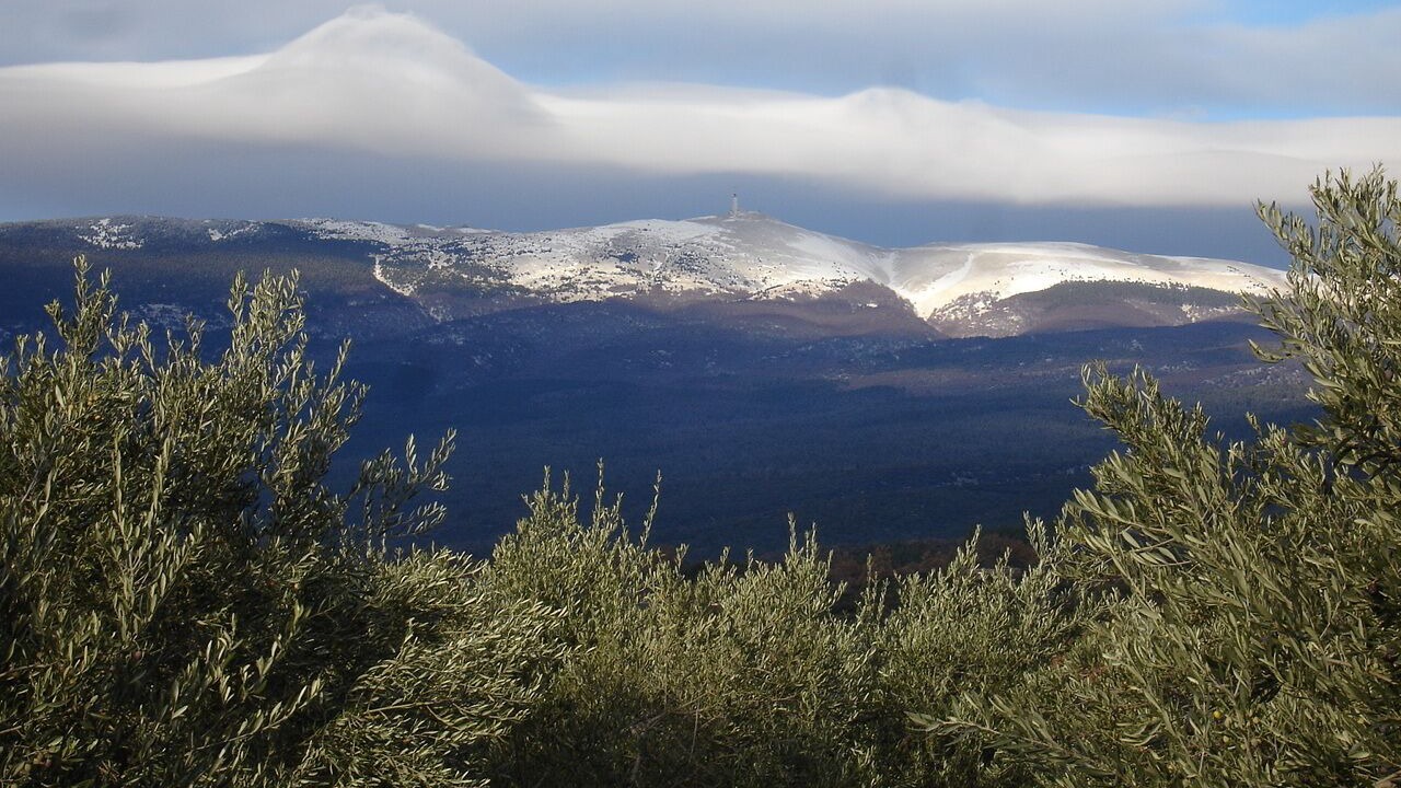 Photo of Outdoor in Mazan