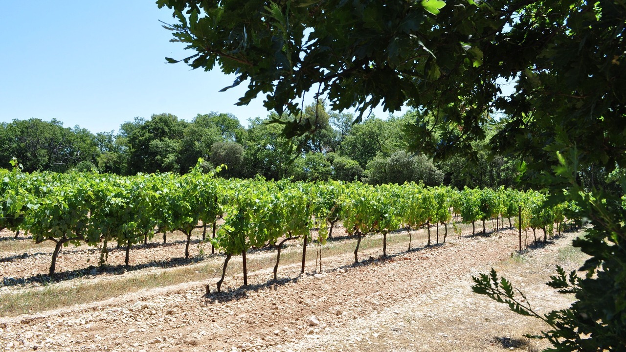 Photo of Outdoor in Mazan
