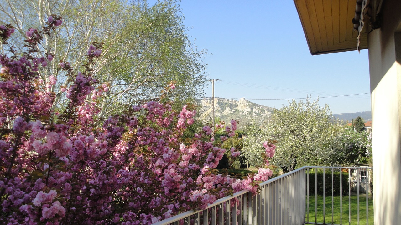 Photo of Outdoor in Saint-Peray