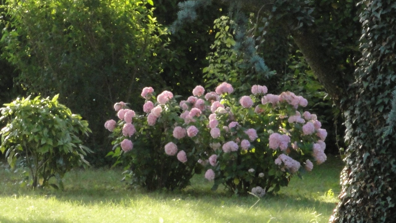 Photo of Outdoor in Saint-Peray