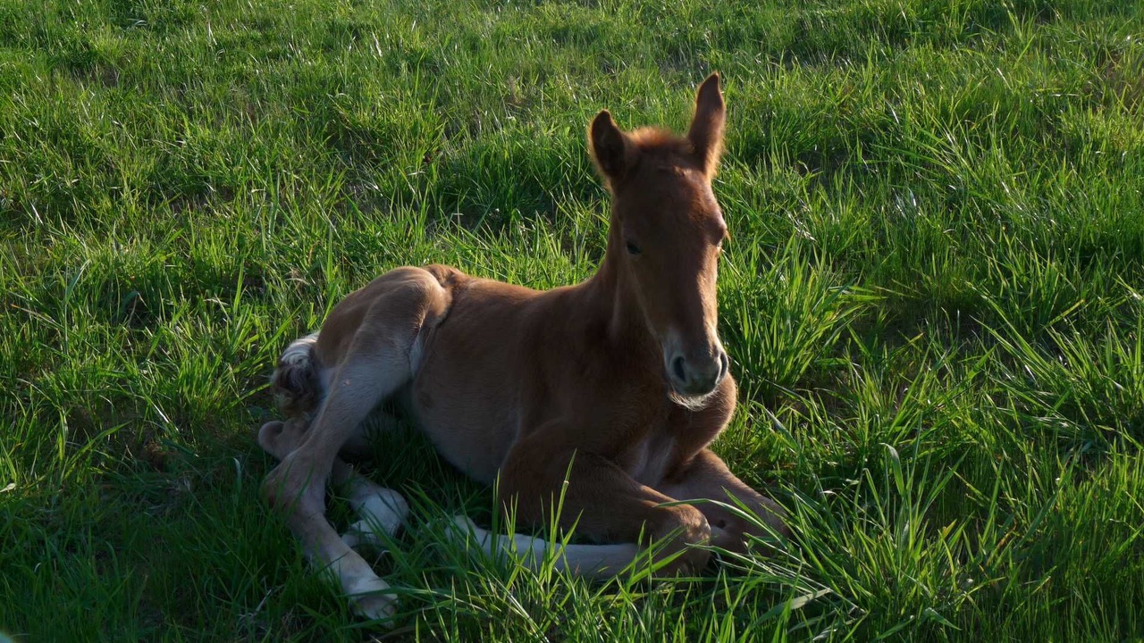 Photo of Outdoor in Castelnau-de-Montmiral