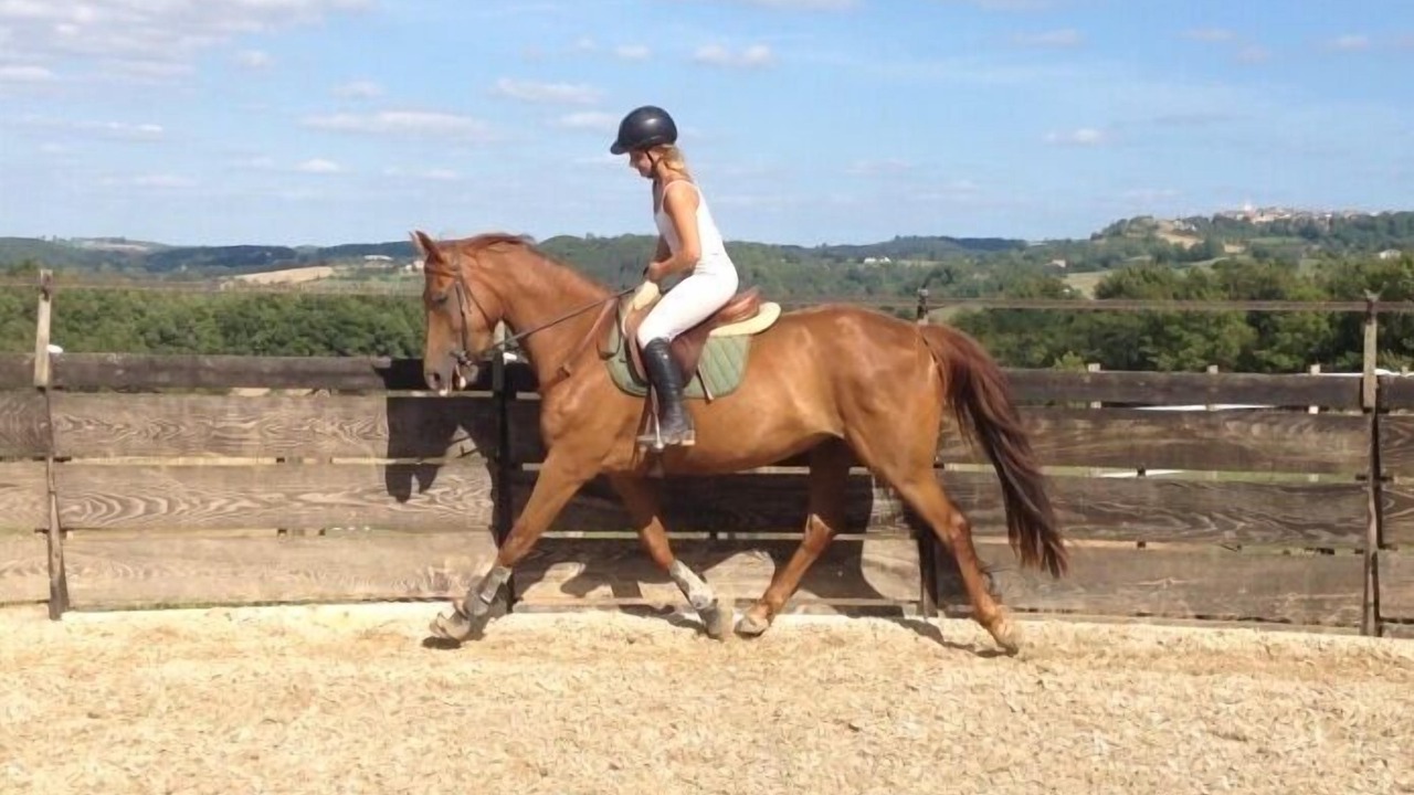 Photo of Outdoor in Castelnau-de-Montmiral