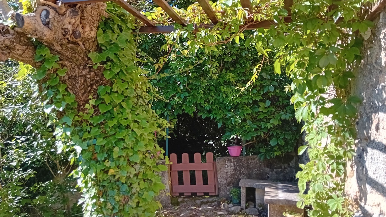 Photo of Outdoor in Joannas