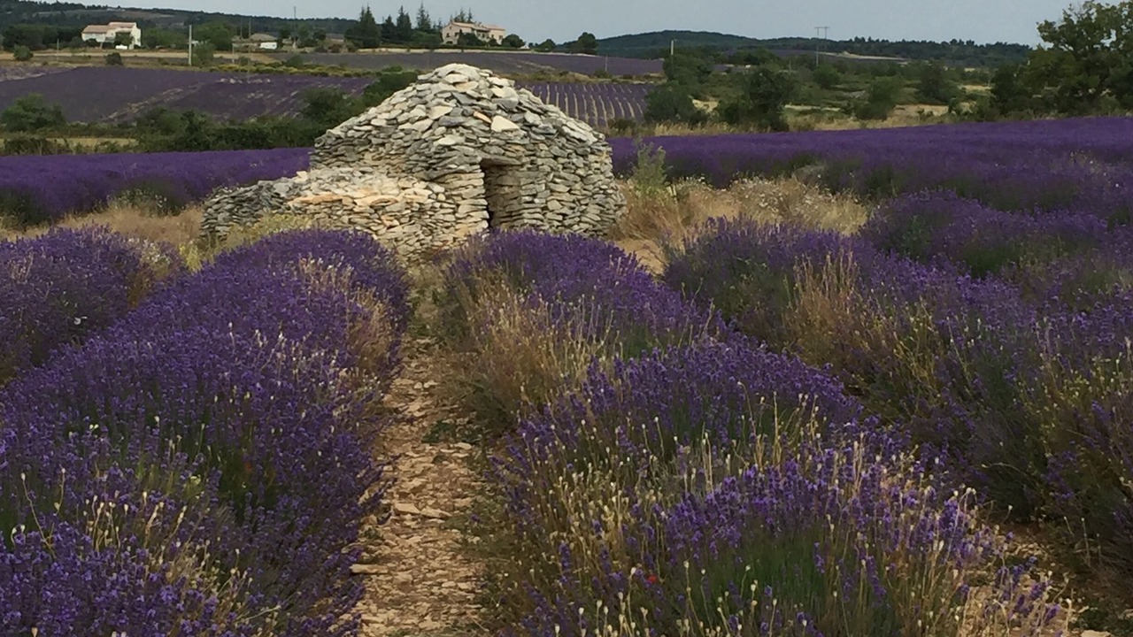 Photo of Outdoor in Faucon