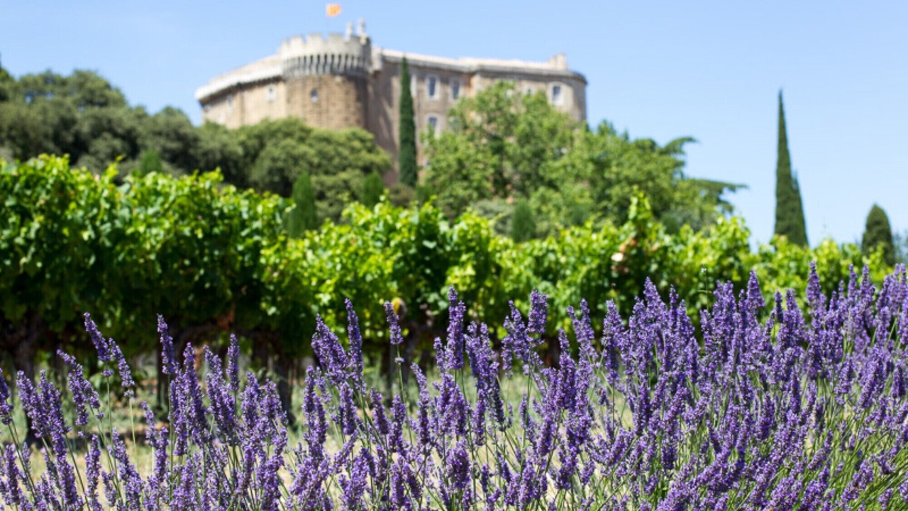 Photo of Others in Saint-Paul-Trois-Chateaux