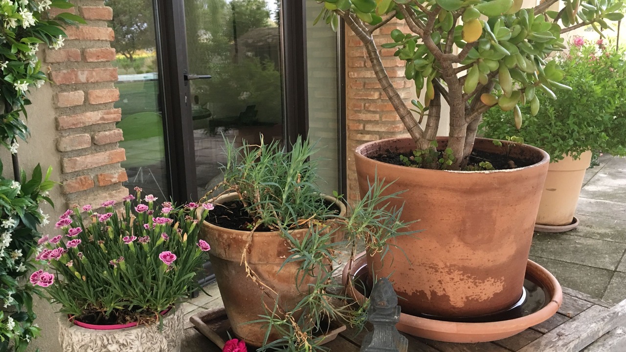 Photo of Outdoor in Cairanne