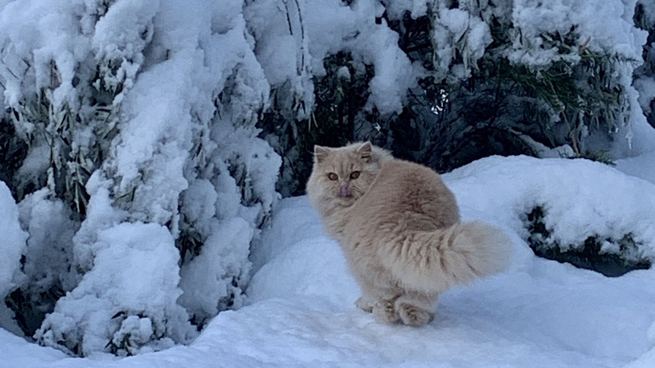 Photo of Outdoor in Montmeyran