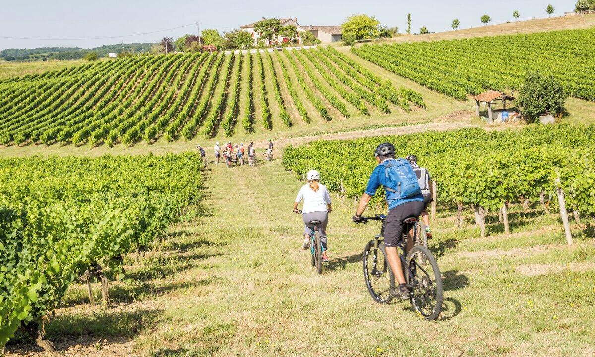 Photo of Others in Castelnau-de-Montmiral