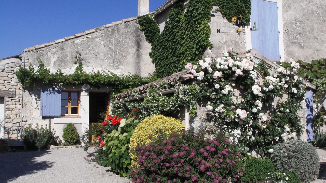 Photo of Outdoor in Vaison-la-Romaine