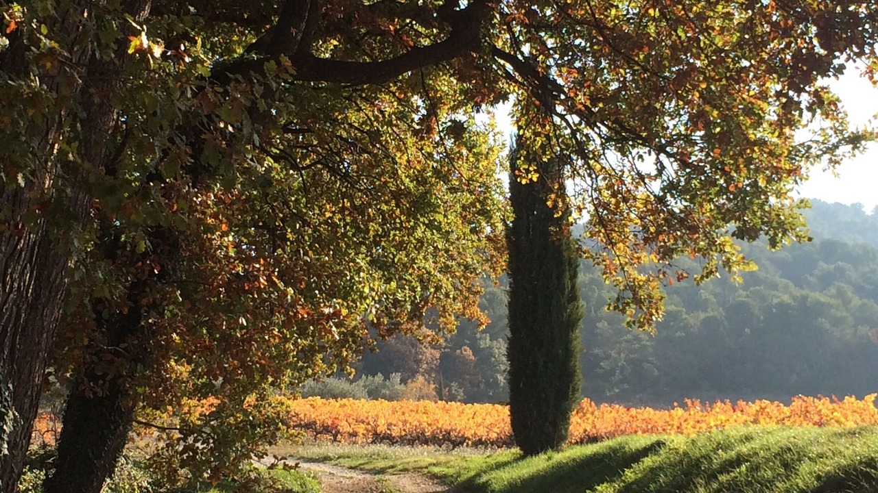 Photo of Outdoor in Vaison-la-Romaine