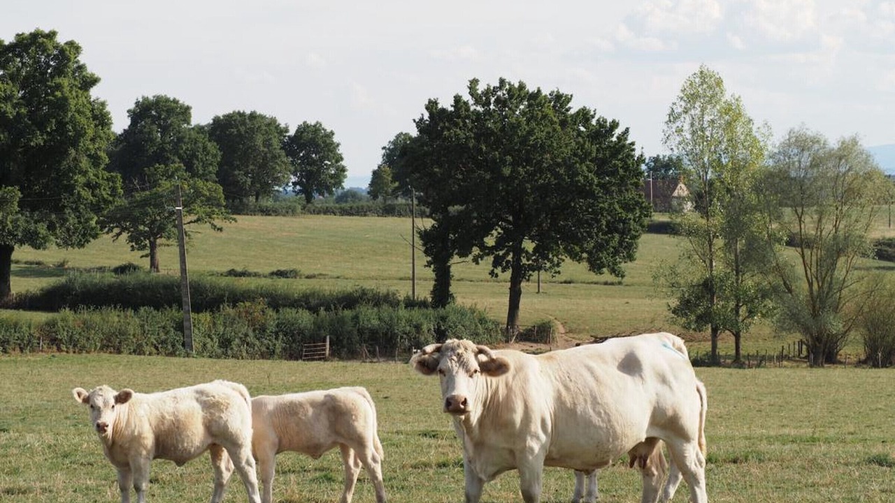 Photo of Others in Monetay-sur-Loire