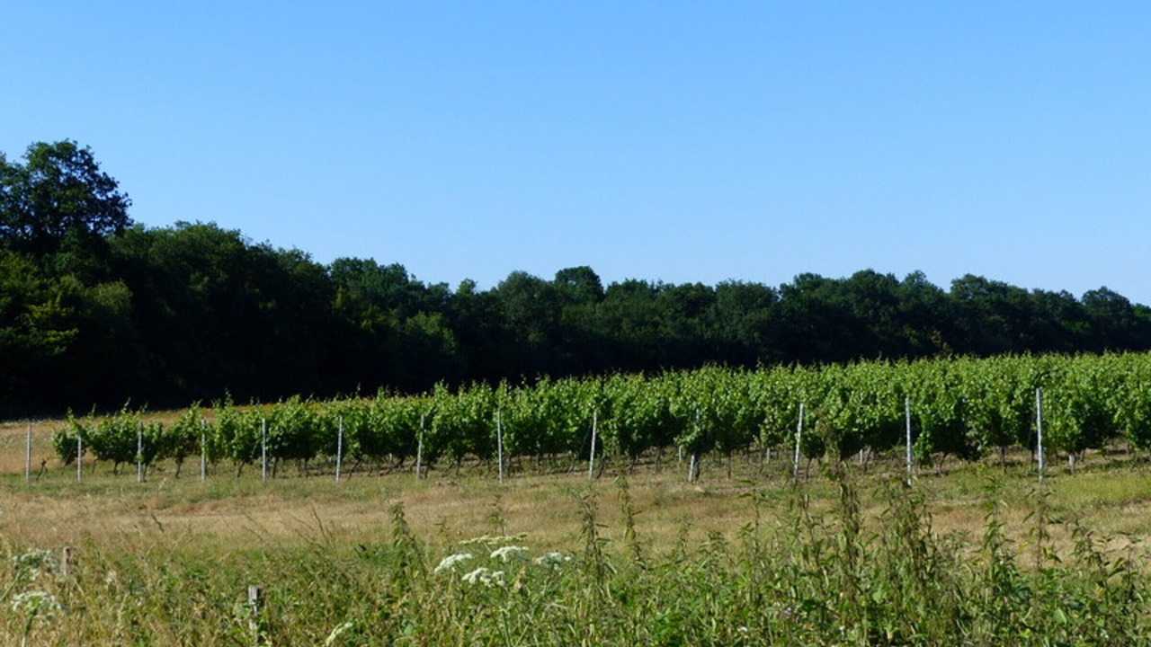 Photo of Outdoor in Meillard