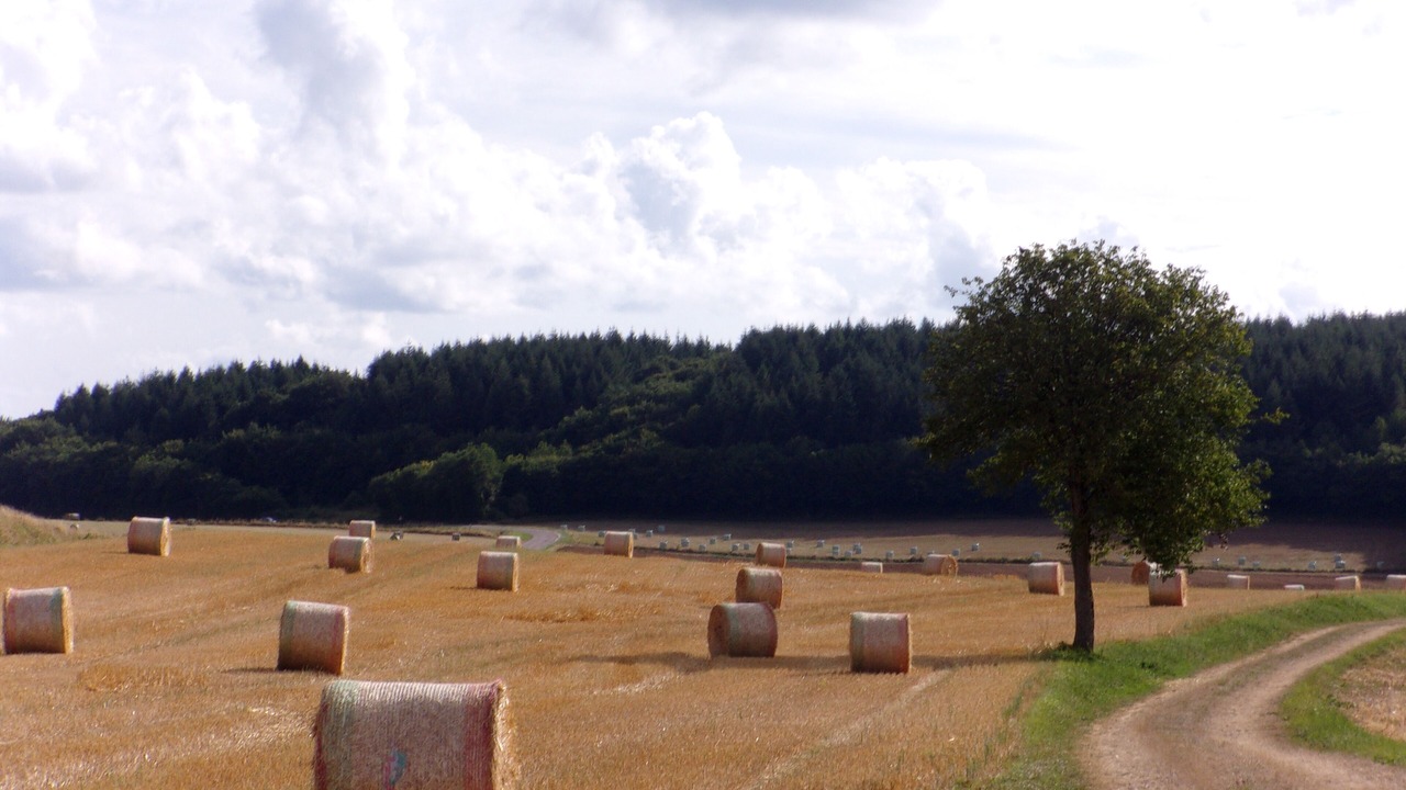 Photo of Outdoor in Dompierre-sur-Nievre