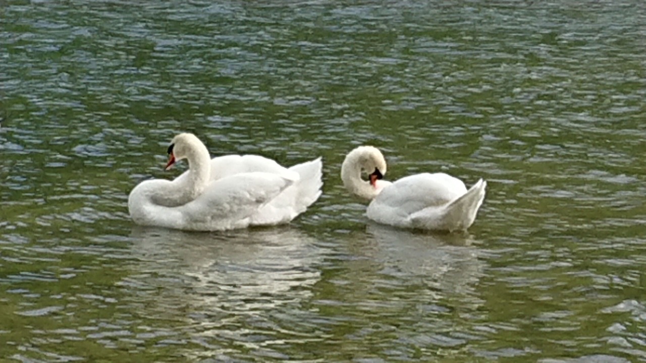 Photo of Others in Condes
