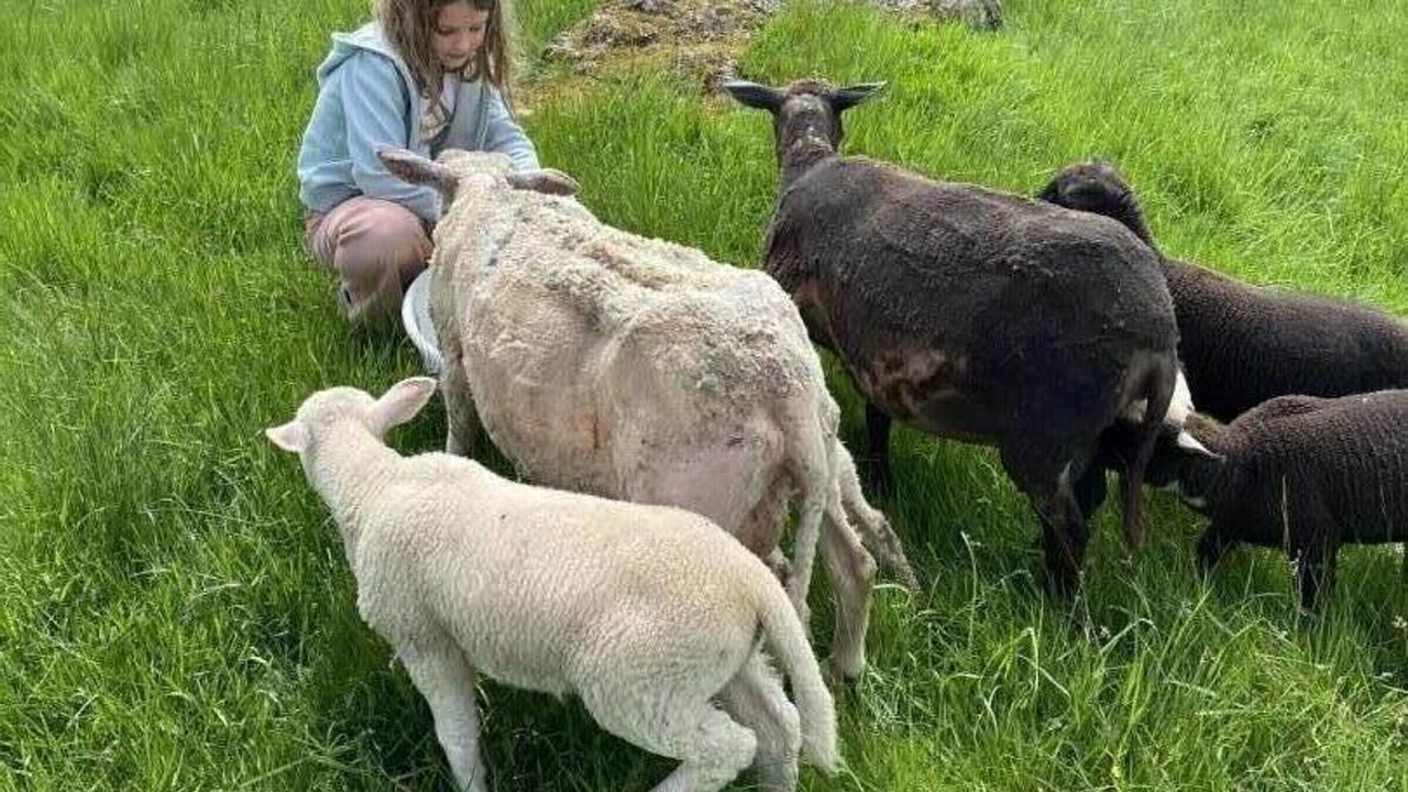 Photo of Others in Les Salles