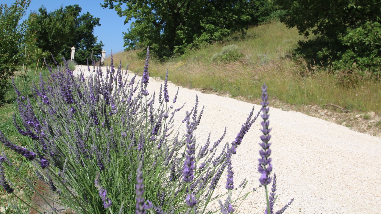 Photo of Outdoor in Aleyrac