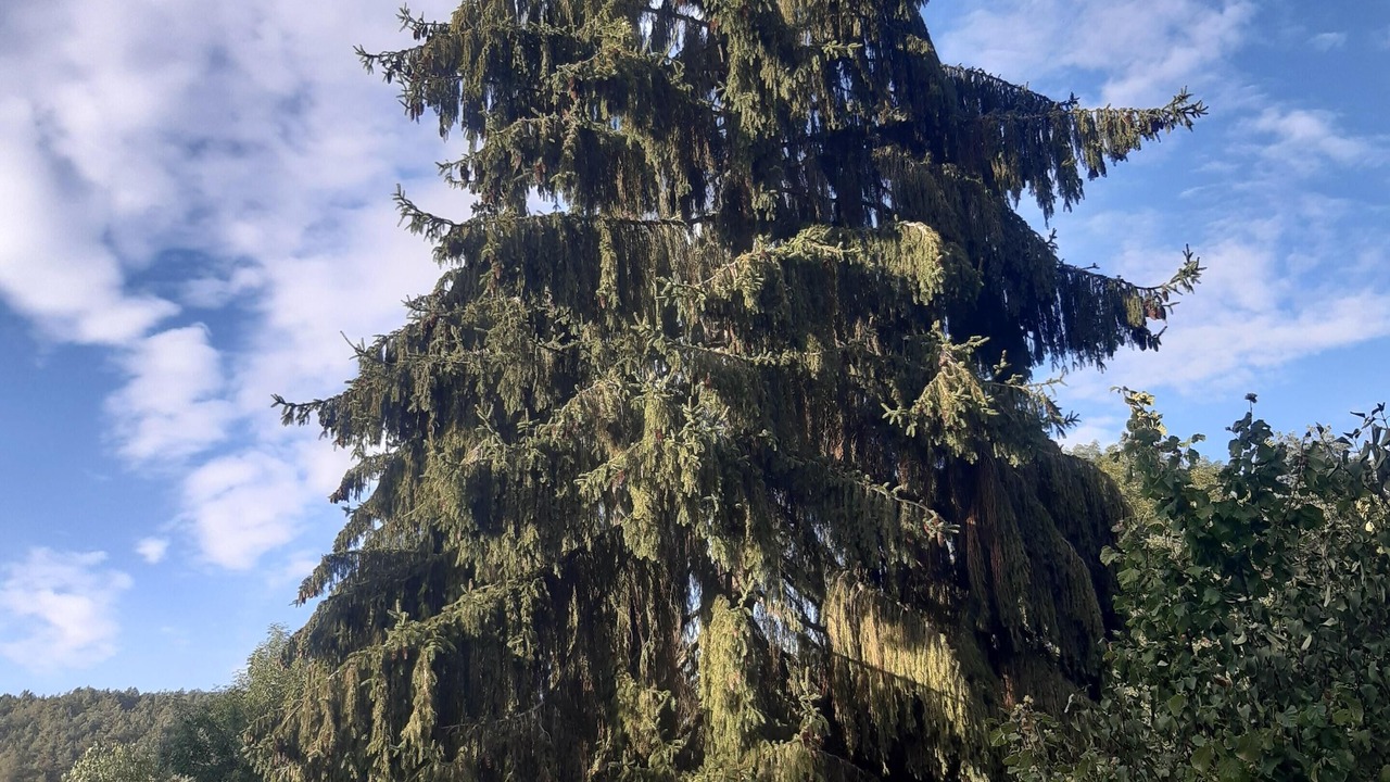 Photo of Outdoor in Magny