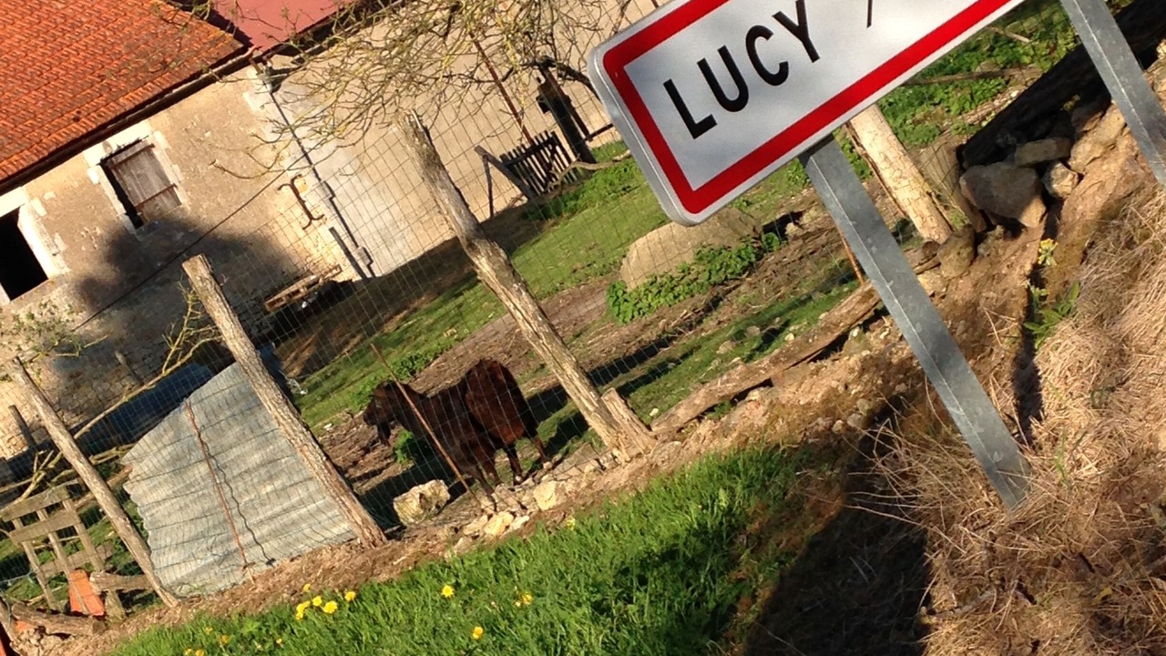 Photo of Outdoor in Lucy-sur-Yonne