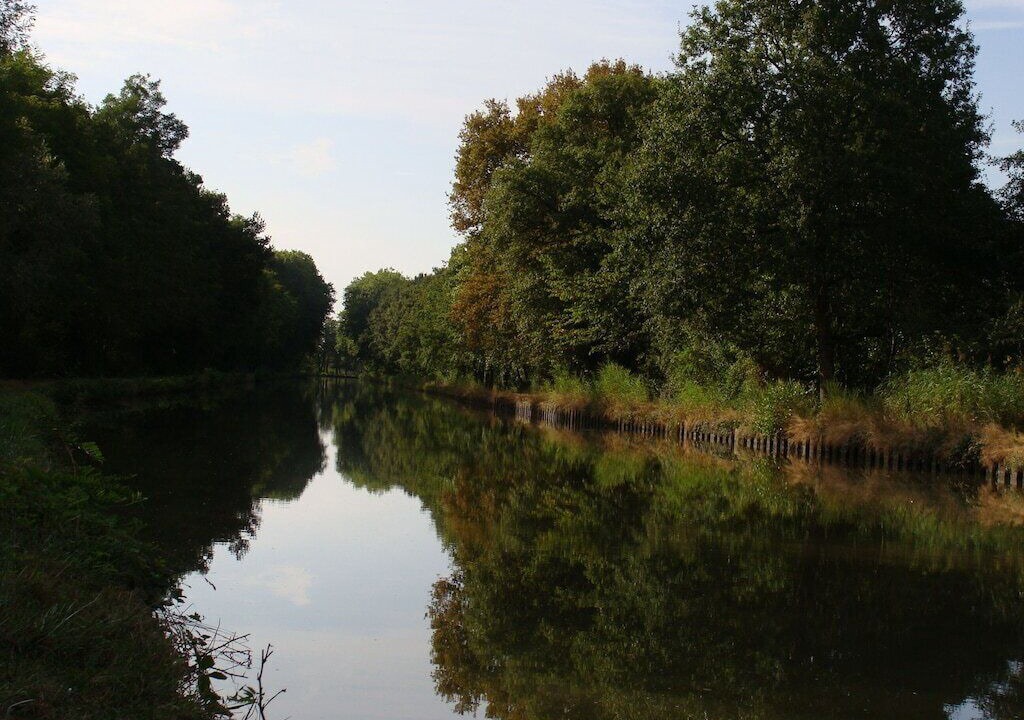 Photo of Others in Gannay-sur-Loire