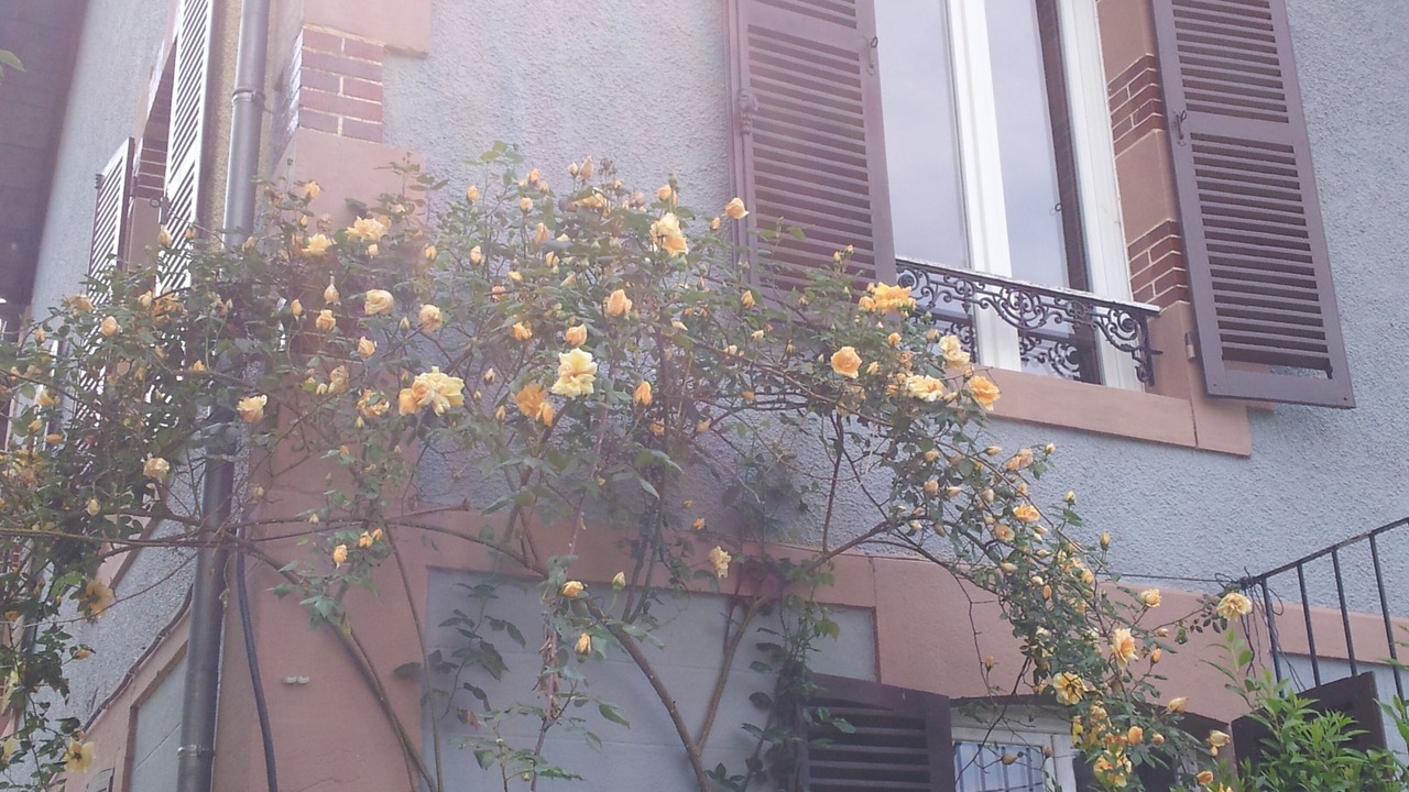 Photo of Outdoor in Saint-Honore-les-Bains
