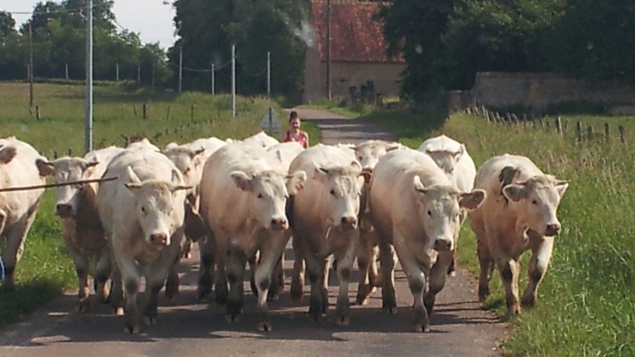 Photo of Others in Saint-Honore-les-Bains